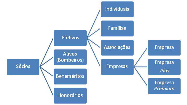 SÃÂ³cios estrutura